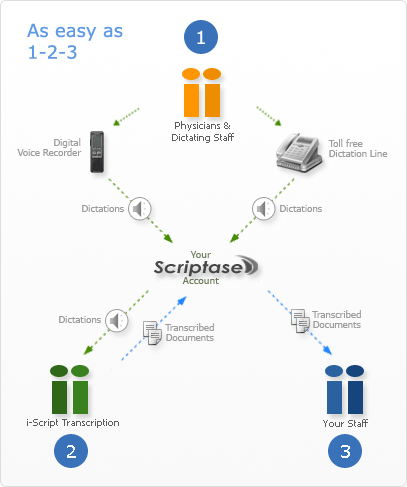 Illustration explaining the Medical Transcription Workflow at i-Script. 